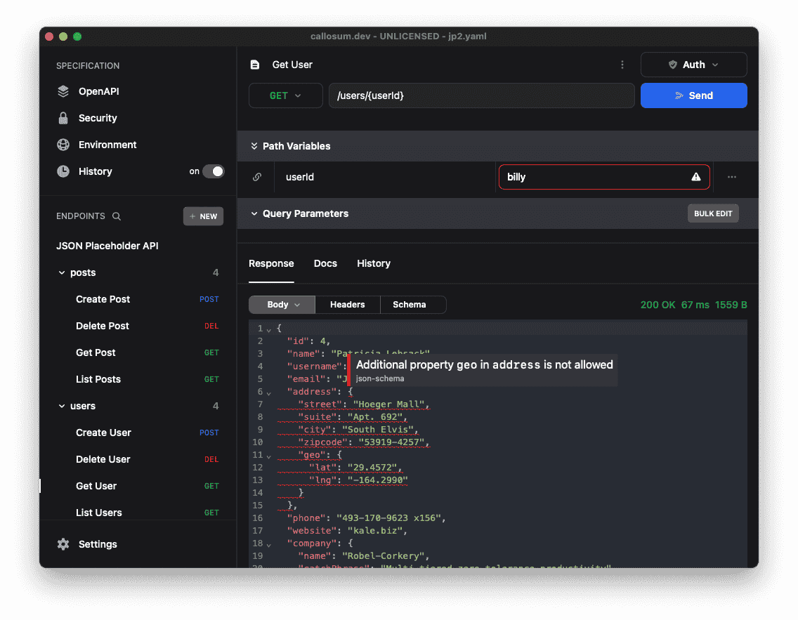 Screenshot of the app showing formatted documentation and validation errors on the request fields